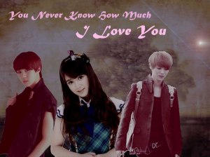 Cover You Never Know How Much I Love You (3)